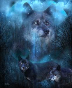 Story Art - Legend Of The Blue Wolf