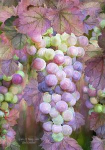 Story Art - Grapes Of Many Colors
