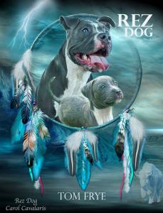 Cover Art for Rez Dog Novel