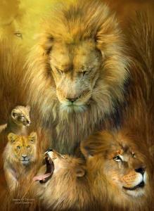 Story Art - Seasons Of The Lion